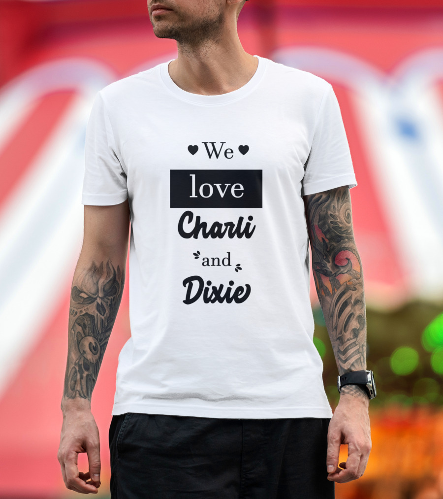 We Love Charli and Dixie Famous TikToker T-Shirt