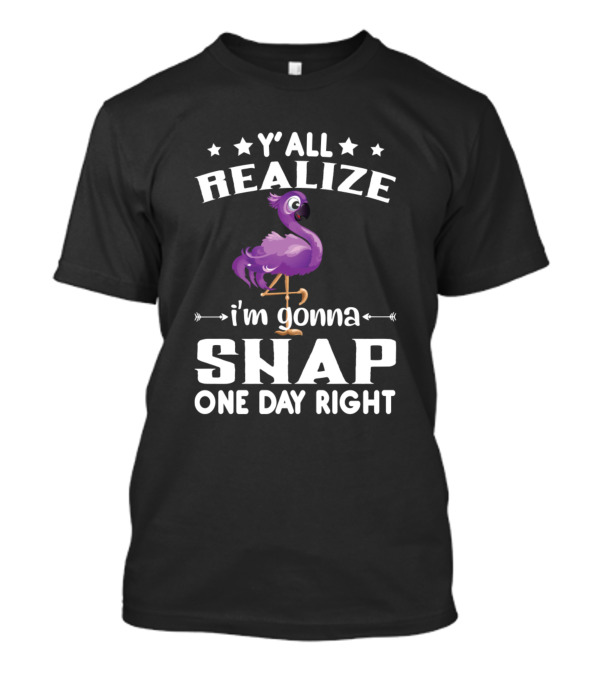 Y'all Realize I'm Gonna Snap One Day Right Flamingo T-Shirt