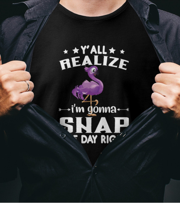 Y'all Realize I'm Gonna Snap One Day Right Flamingo T-Shirt