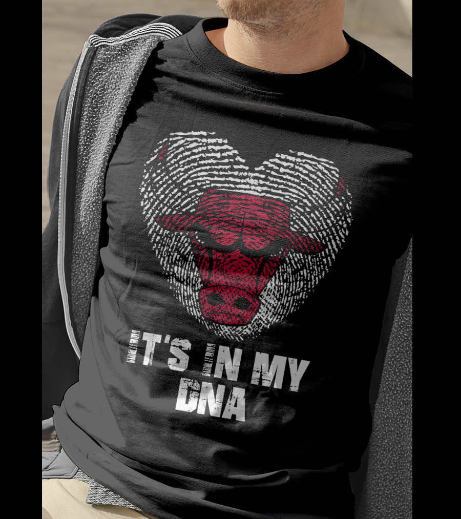 Chicago Bulls It's In My Dna T-Shirt