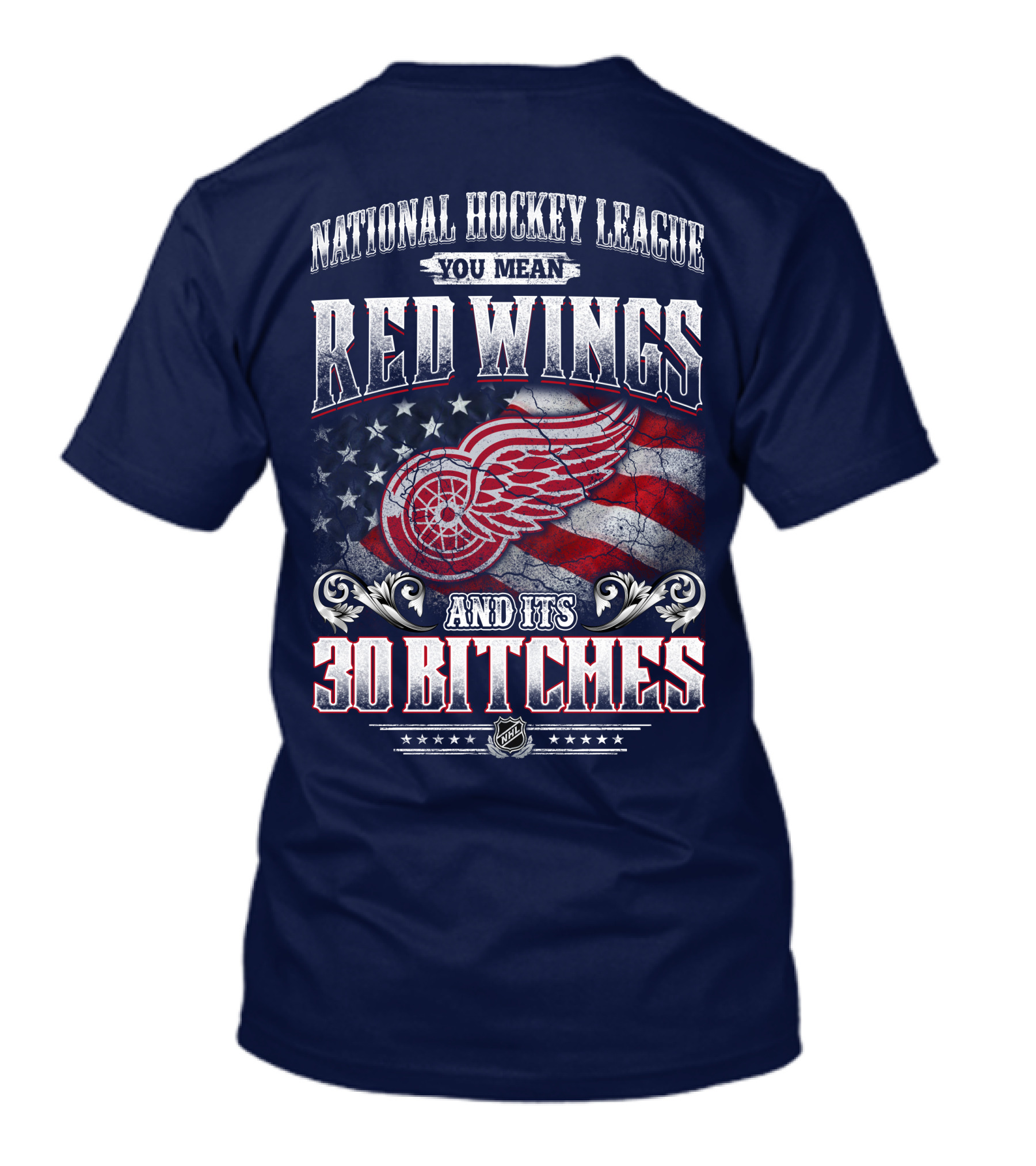 National Hockey League You Mean Red Wings And Its 30 Bitches T-Shirt
