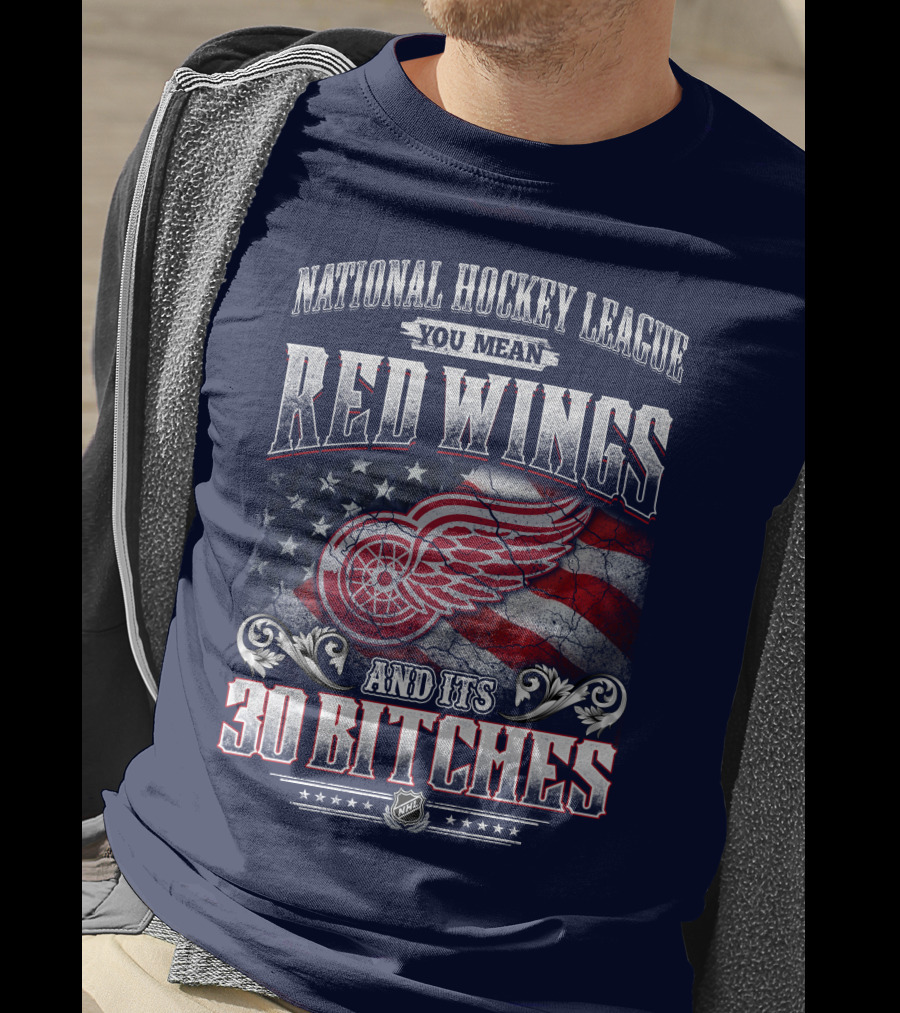 National Hockey League You Mean Red Wings And Its 30 Bitches T-Shirt