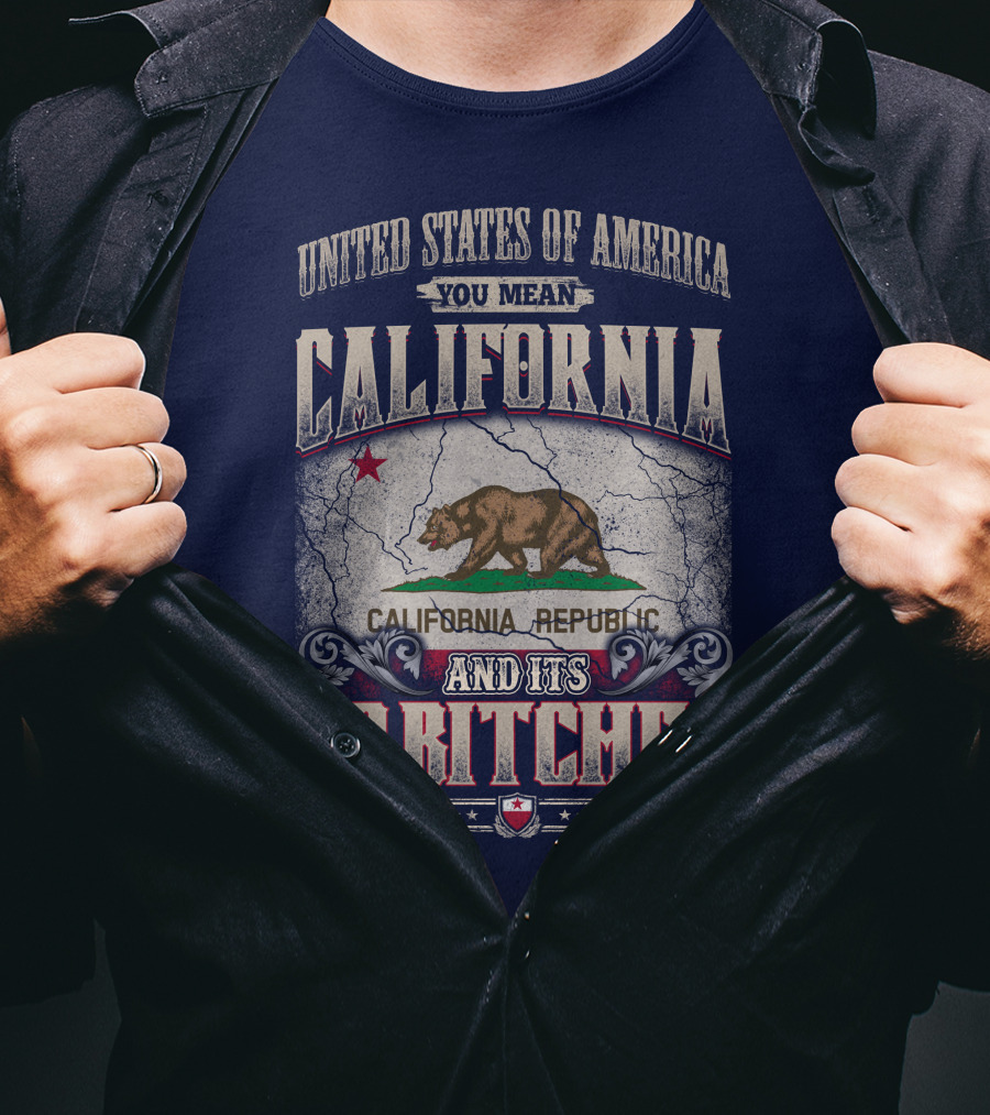 United States Of America You Mean California Republic And Its 49 Bitches T-Shirt