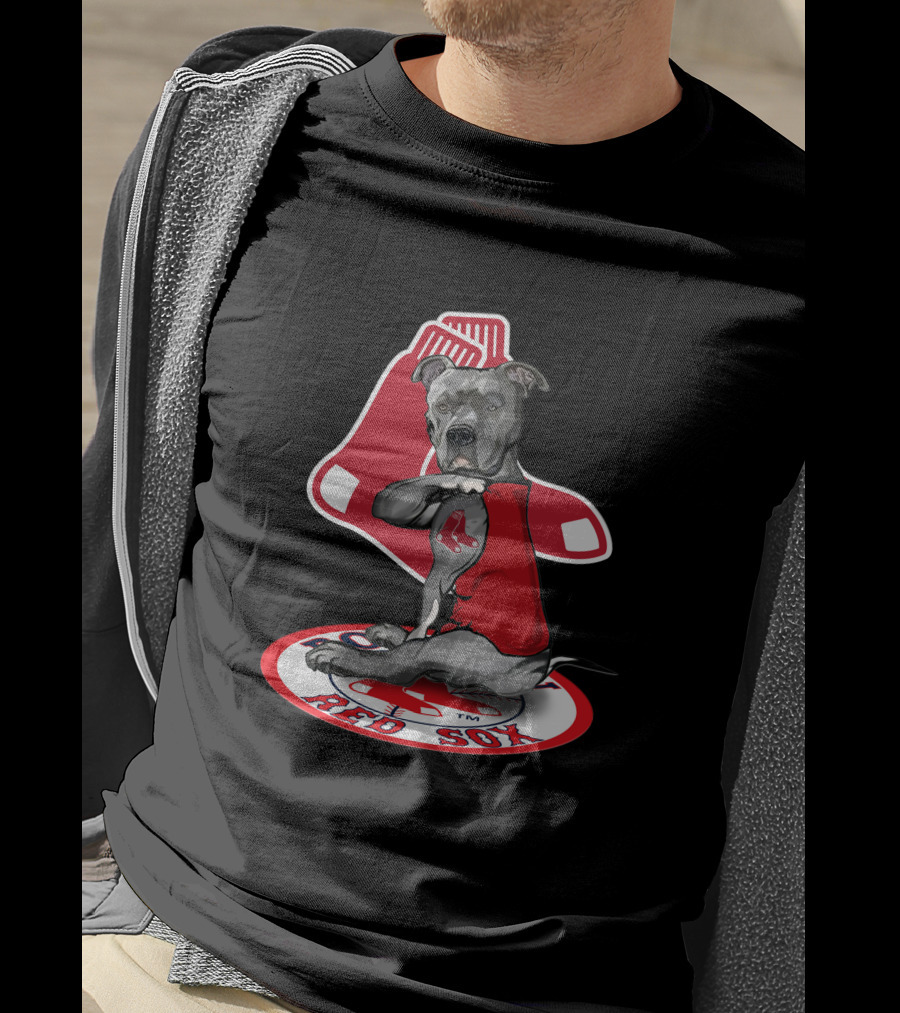 Boston Red Sox Dog Illustration With Team T-Shirt