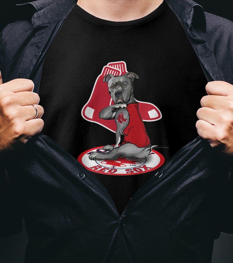 Boston Red Sox Dog Illustration With Team T-Shirt