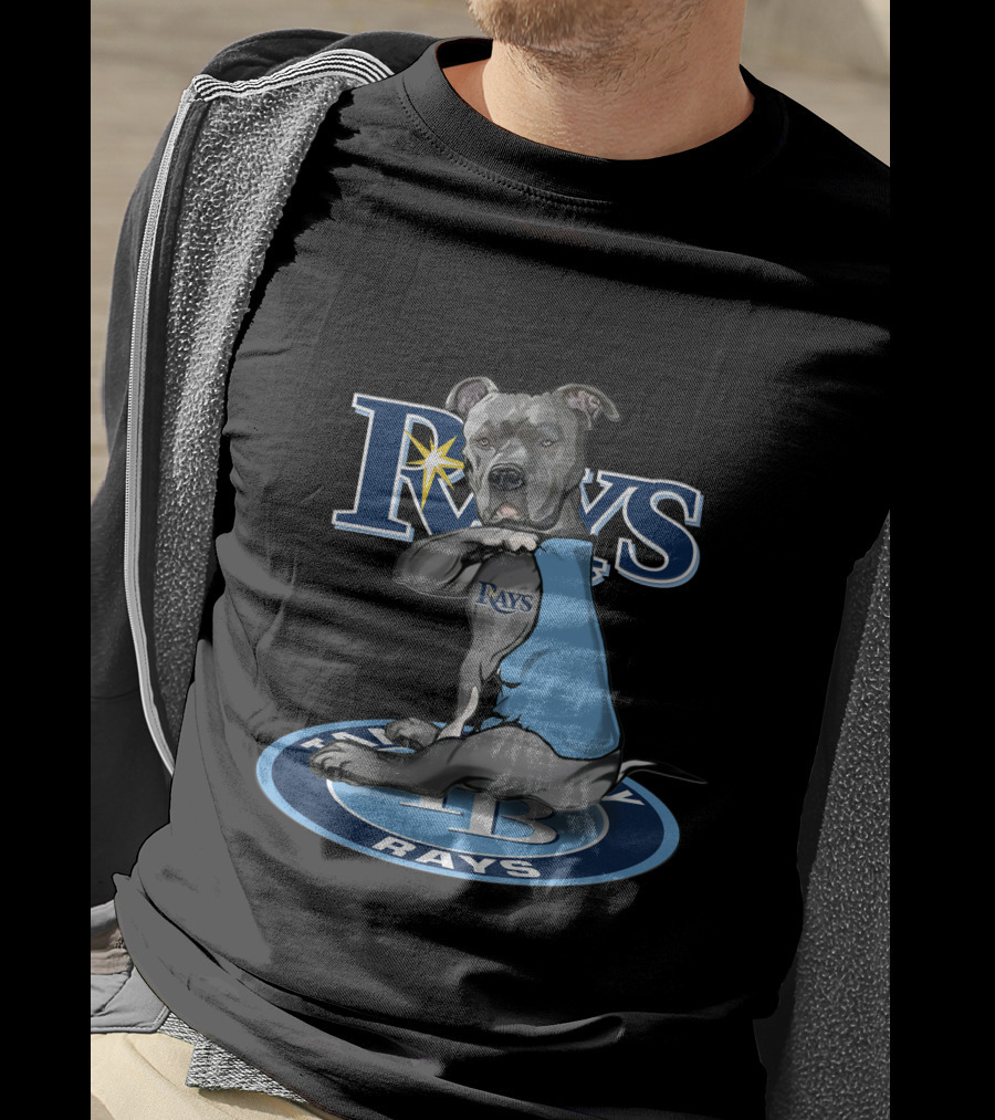 Rays Dog With Tampa Bay Rays Logo And 27-Tampa Bay Rays Circle T-Shirt