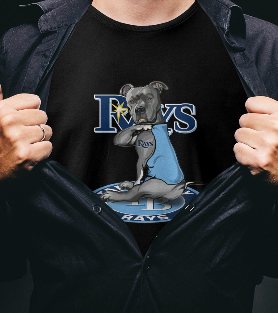 Rays Dog With Tampa Bay Rays Logo And 27-Tampa Bay Rays Circle T-Shirt
