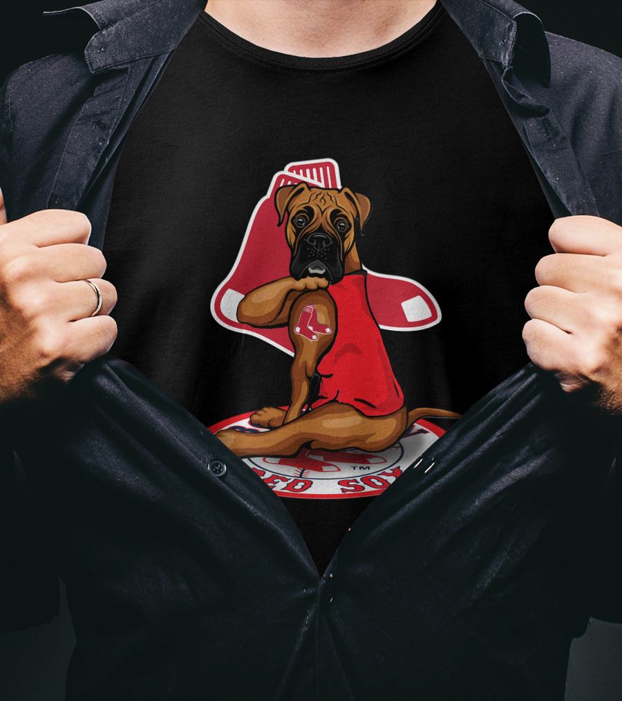 Boston Red Sox Dog Sitting On Iconic Sock T-Shirt