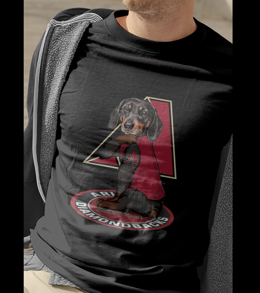 Arizona Diamondbacks Dog With Team Logo And T-Shirt