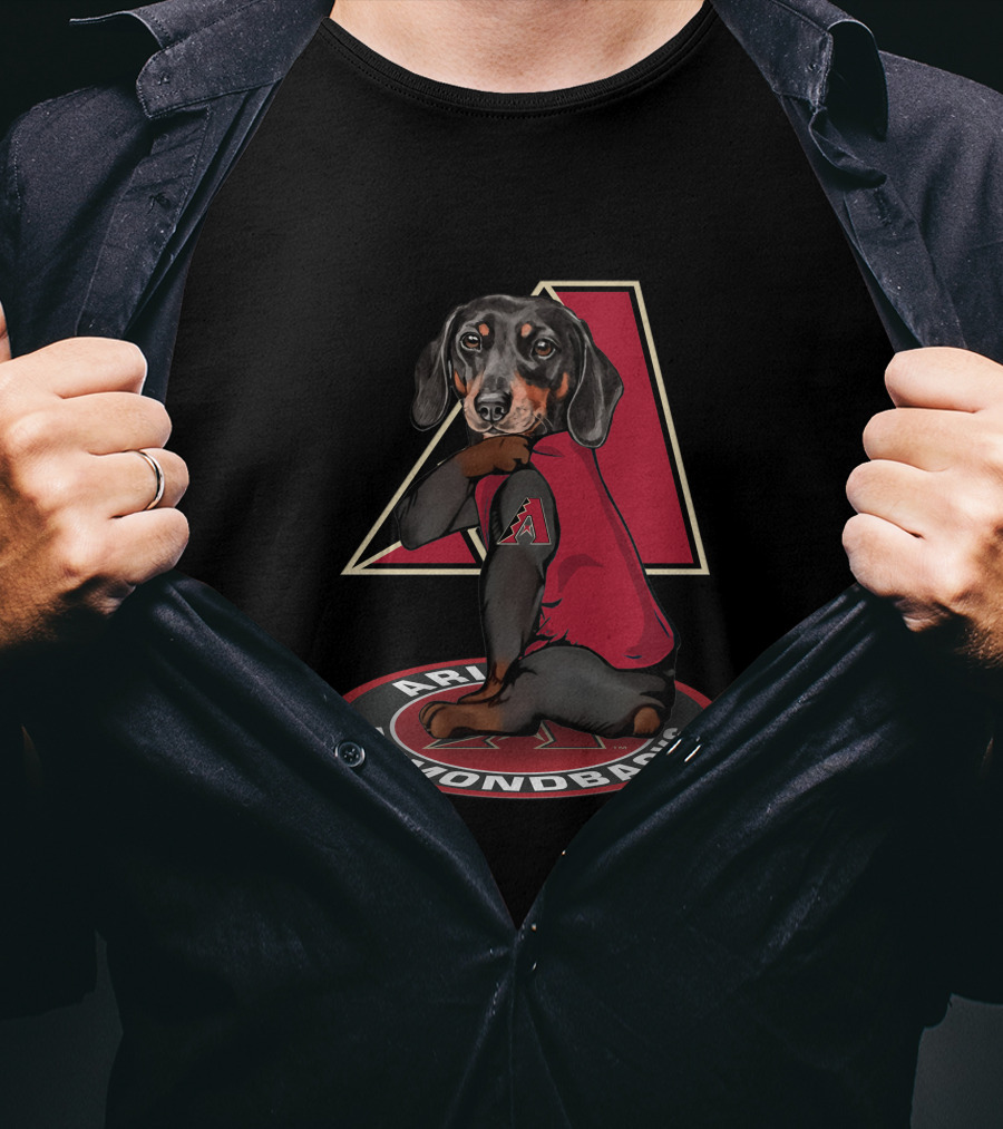 Arizona Diamondbacks Dog With Team Logo And T-Shirt