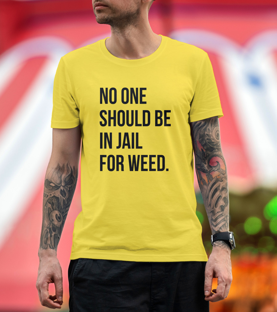 No One Should Be In Jail For Weed Gisele Barreto Fetterman We Go High Shop T-Shirt