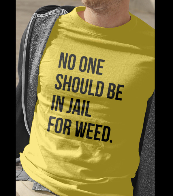 No One Should Be In Jail For Weed Gisele Barreto Fetterman We Go High Shop T-Shirt