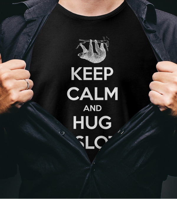 Keep Calm And Hug A Sloth Hanging Sloth T-Shirt