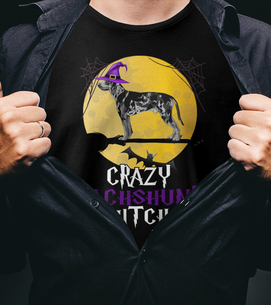 Crazy Dachshund Witch Dog With Purple Hat And Broom Halloween T-Shirt
