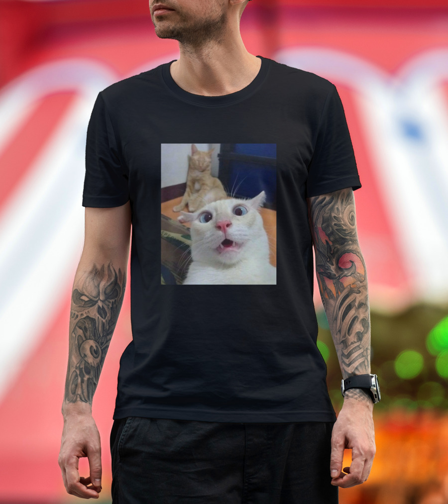 Funny Cats Hilarious Expressions and Playful Moments T-Shirt