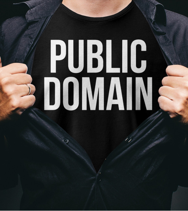 Public Domain Funny Cool Colorful Nonsense Public Domain T-Shirt