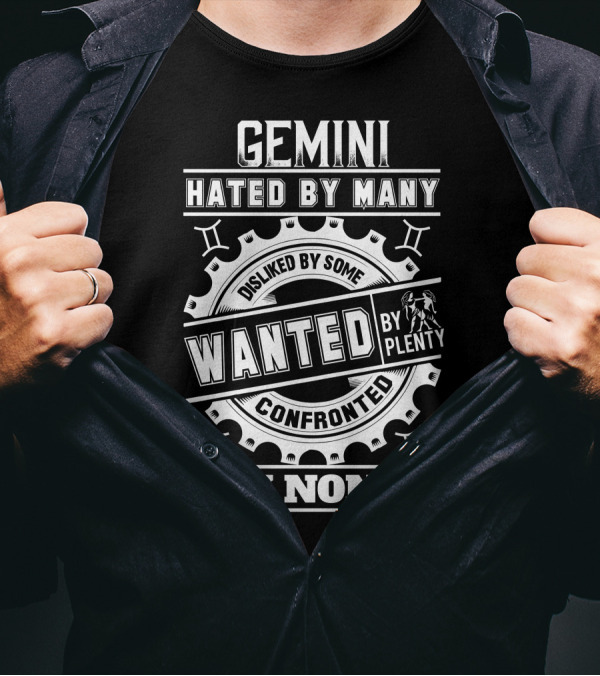 Gemini Hated By Many Wanted By Plenty Disliked By Some Confronted By None T-Shirt
