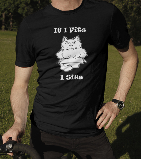 If I Fits I Sits Cat Box Cute Fluffy Feline In Small Carton T-Shirt