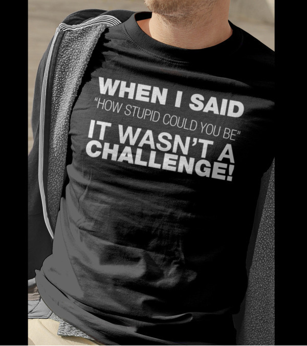 When I Said How Stupid Could You Be It Wasn't A Challenge T-Shirt