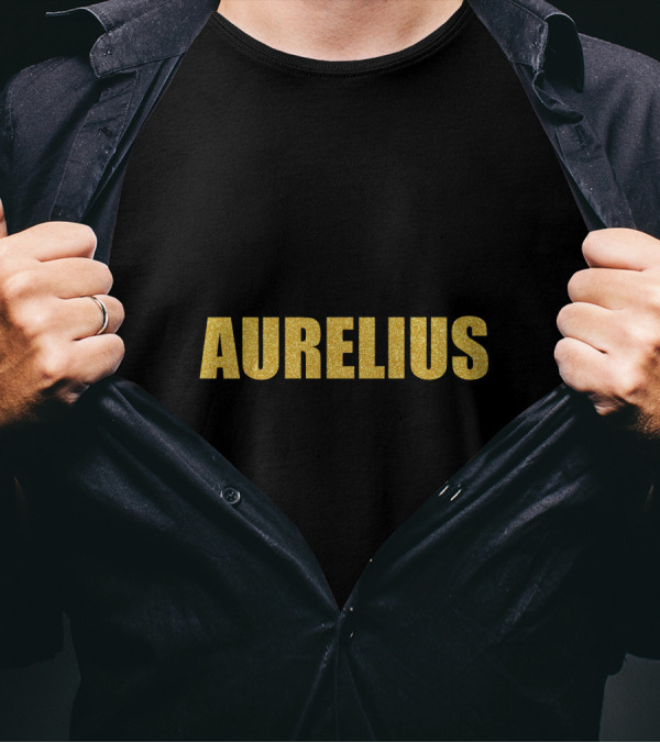 Aurelius Marcus Aurelius Gold Text Mask Quality T-Shirt