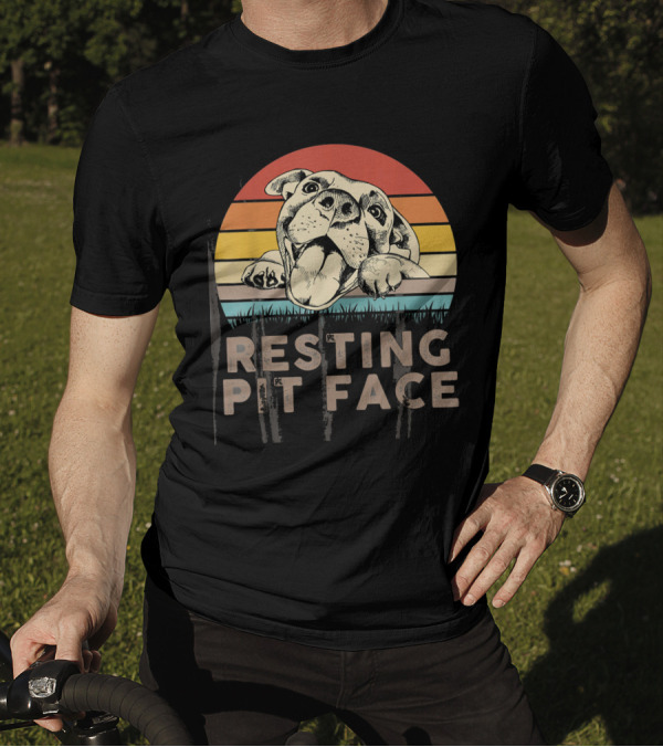 Retro Vintage Resting Pit Face Funny Pitbull Lover Sunrise Stripe T-Shirt