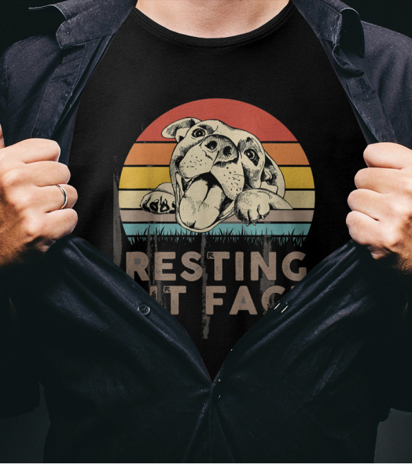 Retro Vintage Resting Pit Face Funny Pitbull Lover Sunrise Stripe T-Shirt
