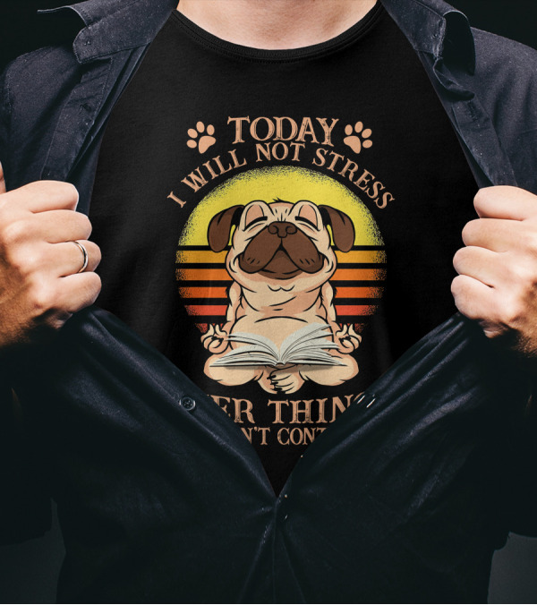 Today I Will Not Stress Over Things I Can't Control Pug With Open Book And Paw Prints Retro Sunset Background T-Shirt