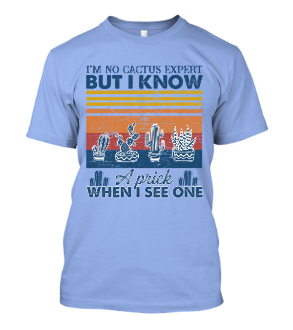 I'm No Cactus Expert But I Know A Prick When I See One Vintage Cactus Stripes T-Shirt
