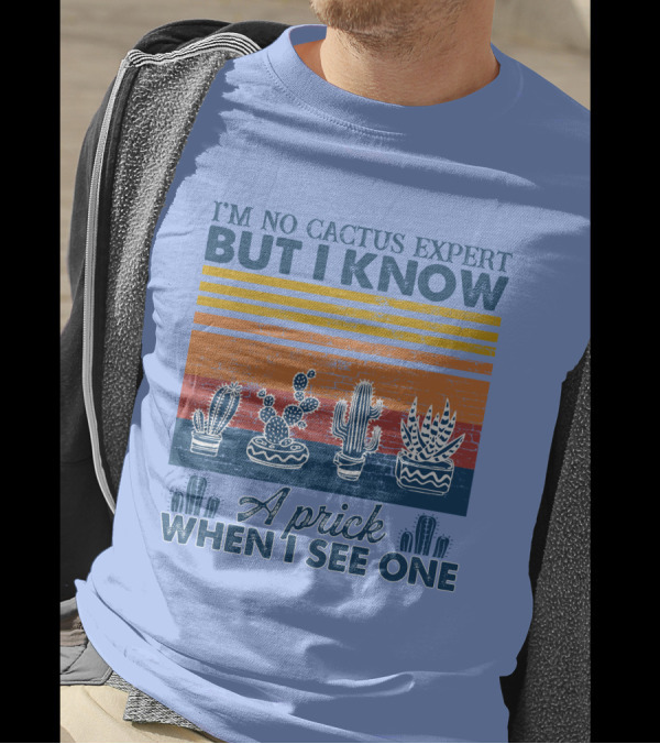 I'm No Cactus Expert But I Know A Prick When I See One Vintage Cactus Stripes T-Shirt
