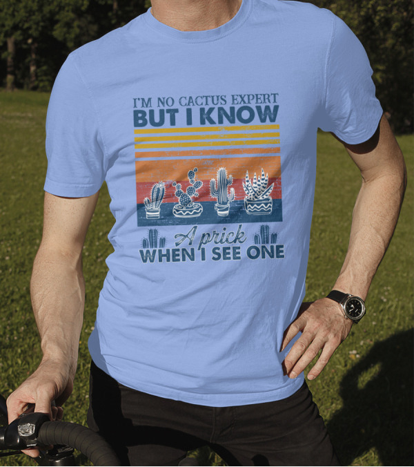 I'm No Cactus Expert But I Know A Prick When I See One Vintage Cactus Stripes T-Shirt