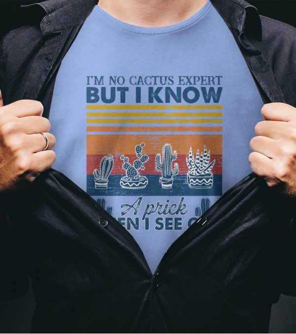 I'm No Cactus Expert But I Know A Prick When I See One Vintage Cactus Stripes T-Shirt