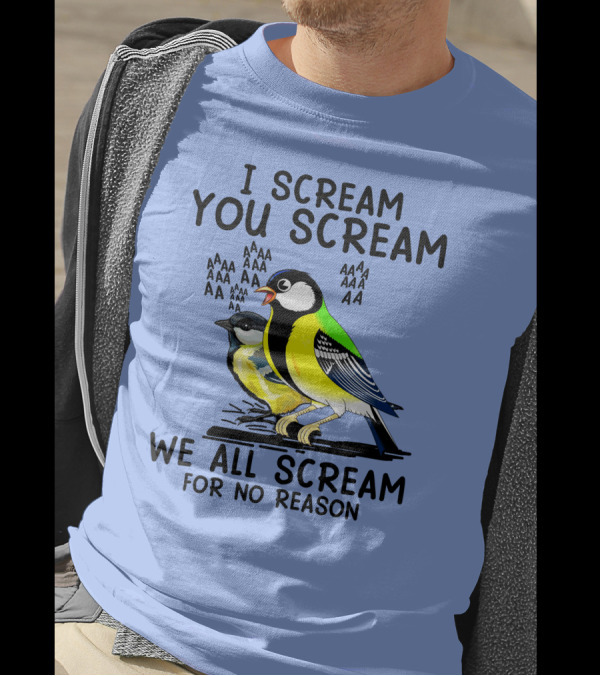 I Scream You Scream We All Scream Birds Theme AAAAAAAA For No Reason T-Shirt