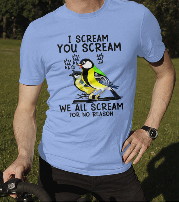 I Scream You Scream We All Scream Birds Theme AAAAAAAA For No Reason T-Shirt