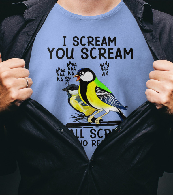 I Scream You Scream We All Scream Birds Theme AAAAAAAA For No Reason T-Shirt