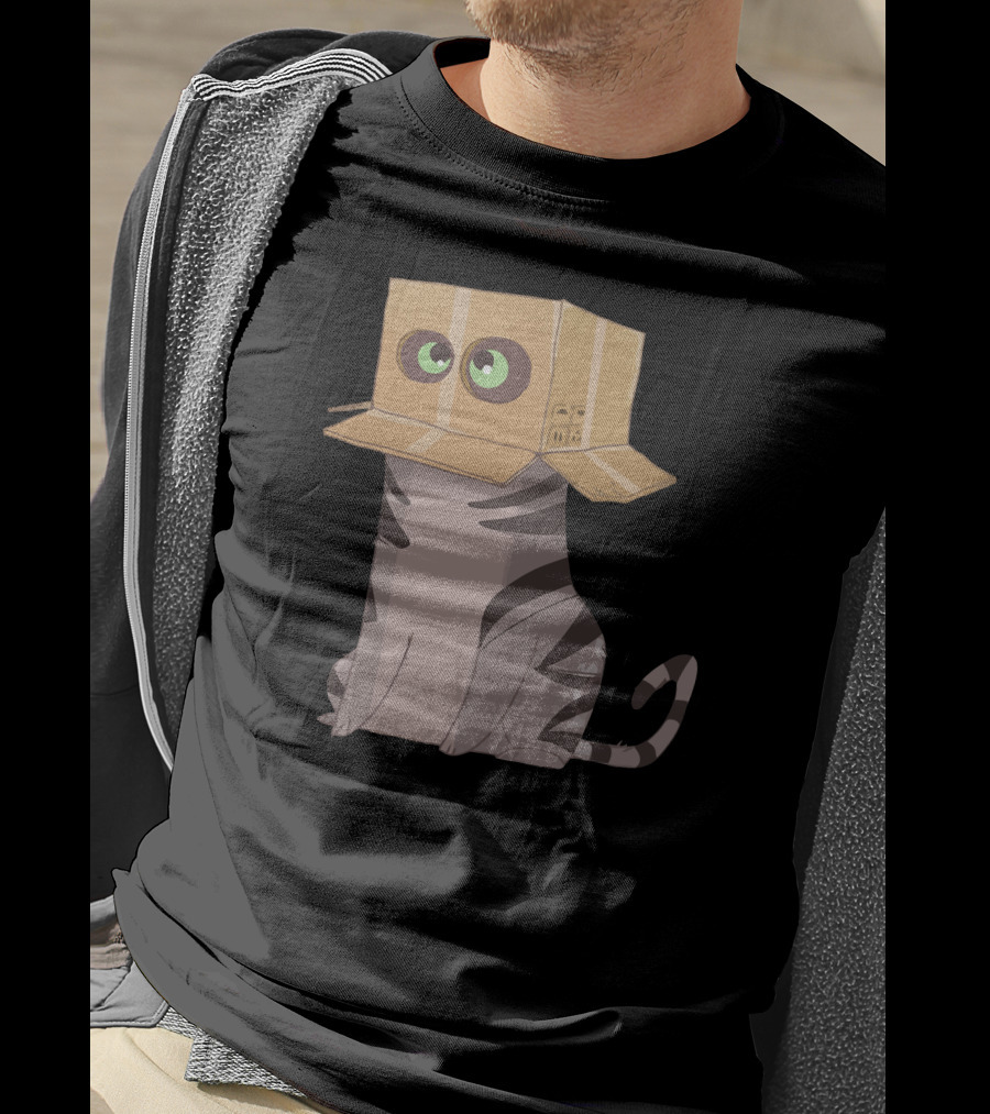 Cat In The Box With Big Eyes Wearing Cardboard Hat T-Shirt