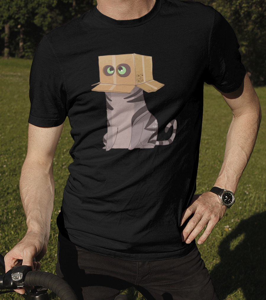 Cat In The Box With Big Eyes Wearing Cardboard Hat T-Shirt