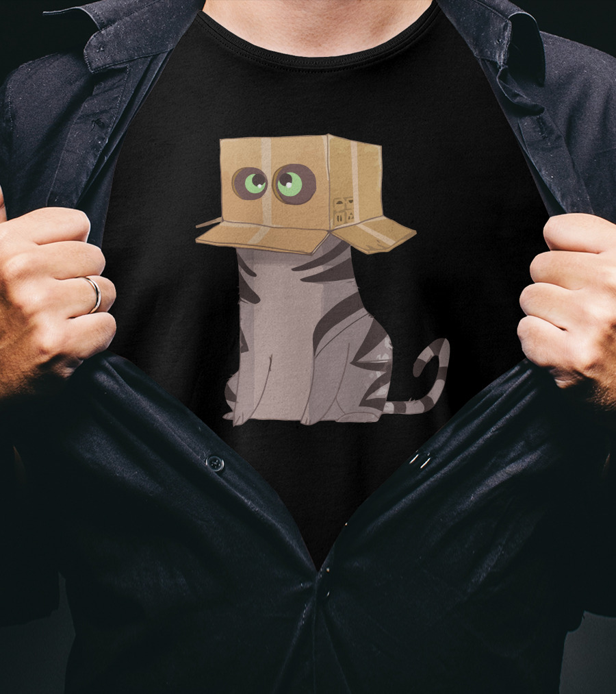 Cat In The Box With Big Eyes Wearing Cardboard Hat T-Shirt
