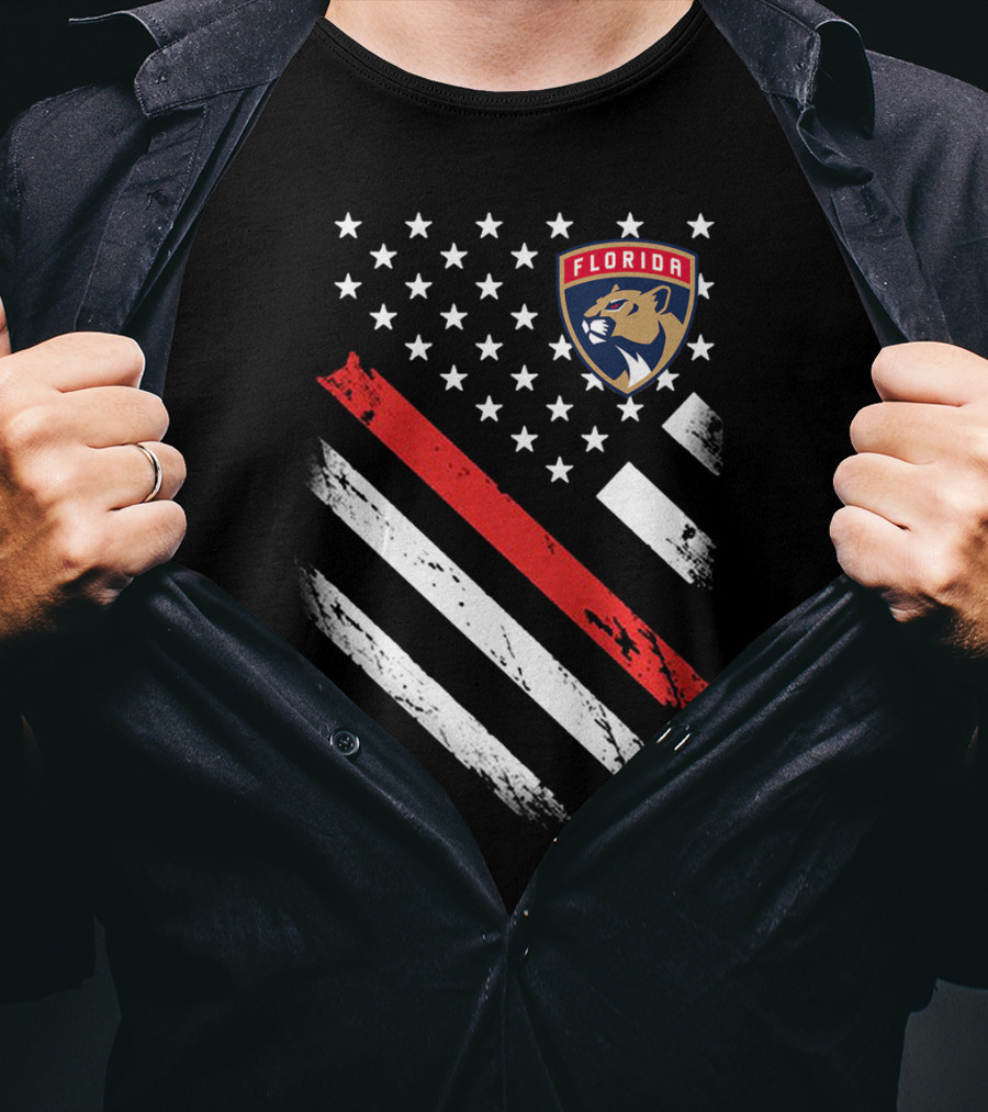 Florida Panthers American Flag Style Red Stripe T-Shirt