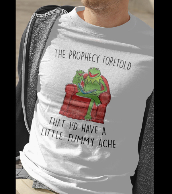 The Prophecy Foretold That I'd Have A Little Tummy Ache - Frog Reading On Red Armchair T-Shirt