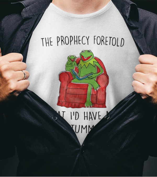 The Prophecy Foretold That I'd Have A Little Tummy Ache - Frog Reading On Red Armchair T-Shirt