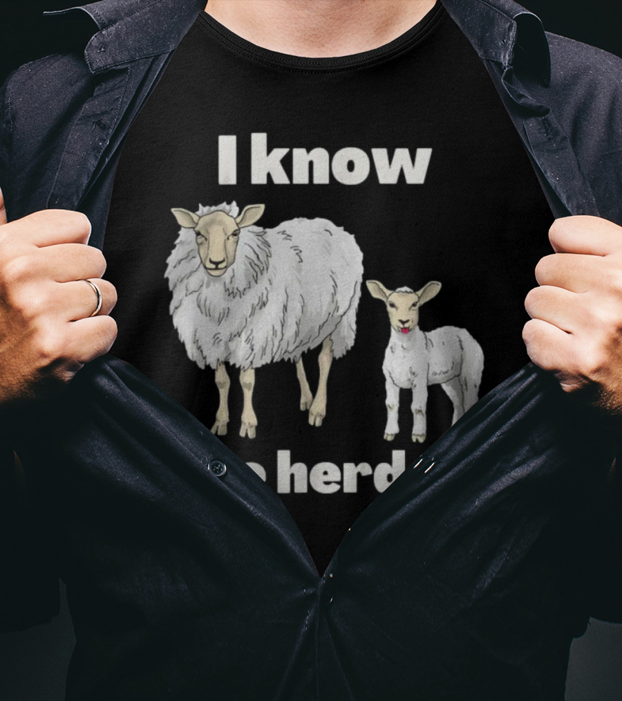 I Know Ewe Herd Me Funny Sheep Farmer Fathers Day Dad Jokes T-Shirt