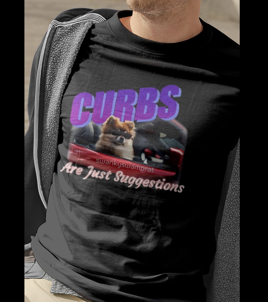 Curbs Are Just Suggestions SwankySwamprat Dog In Car T-Shirt