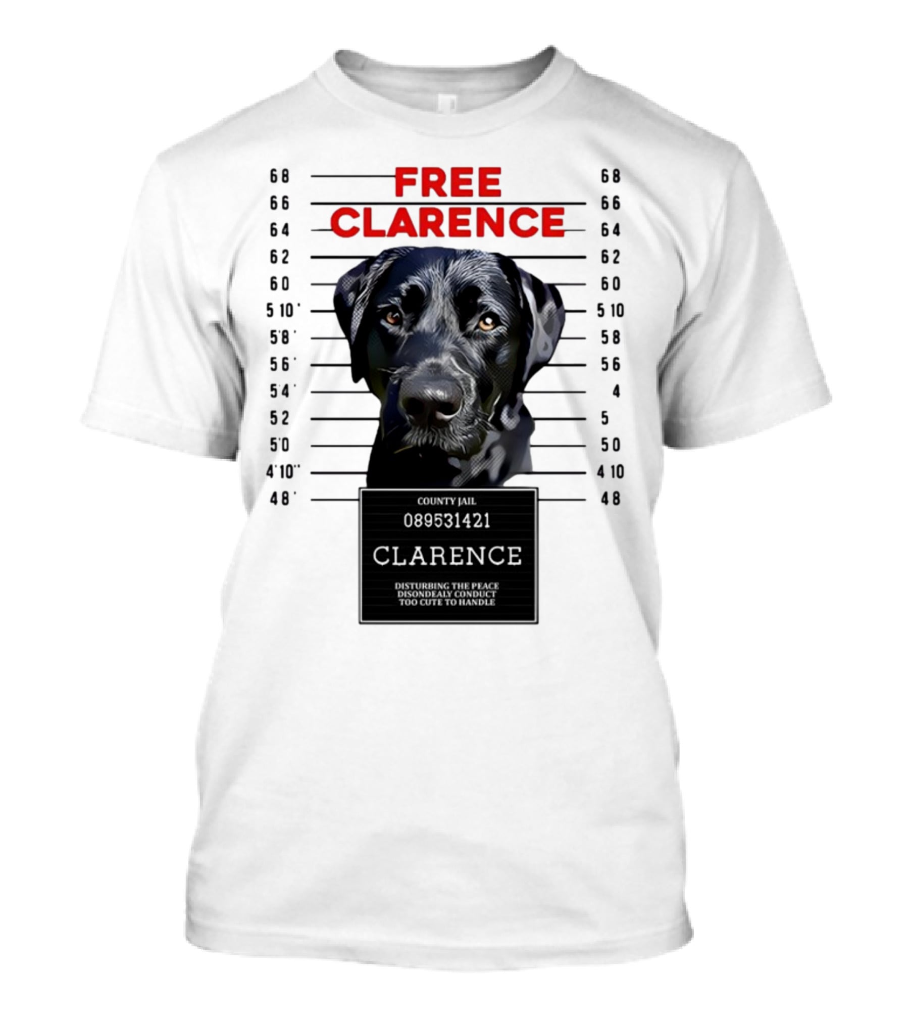 Free Clarence County Jail Disturbing The Peace Disorderly Conduct Too Cute To Handle T-Shirt