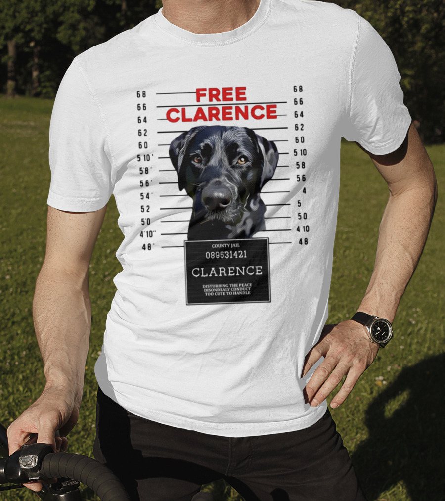 Free Clarence County Jail Disturbing The Peace Disorderly Conduct Too Cute To Handle T-Shirt