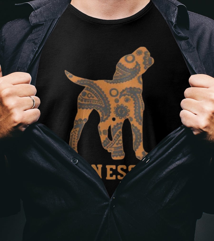 Tennessee Patterned Dog T-Shirt