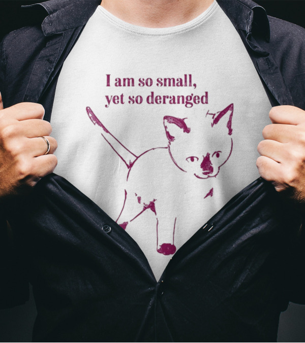 I Am So Small Yet So Deranged Catwheezie T-Shirt