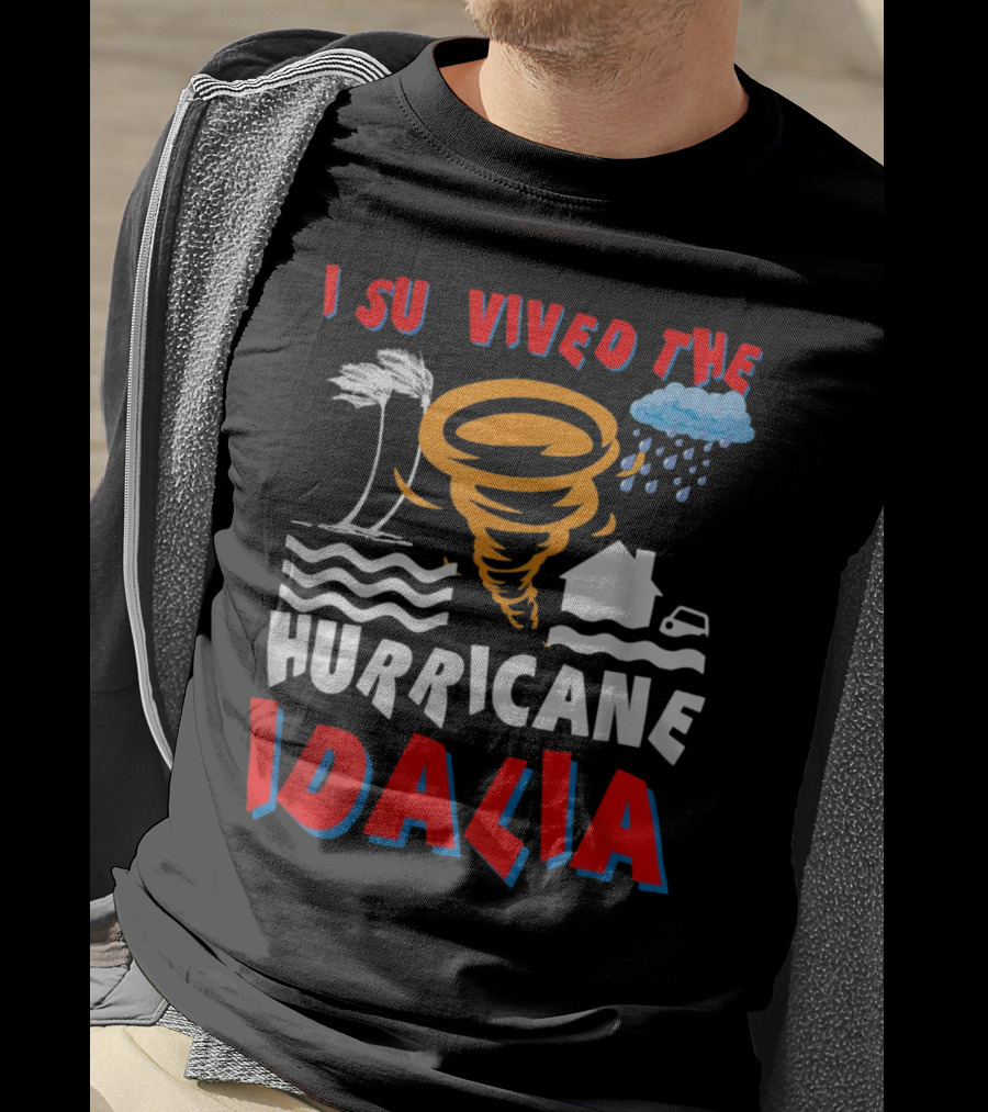 I Survived The Hurricane Idalia Tornado Palm Trees Rain House Car Waves T-Shirt