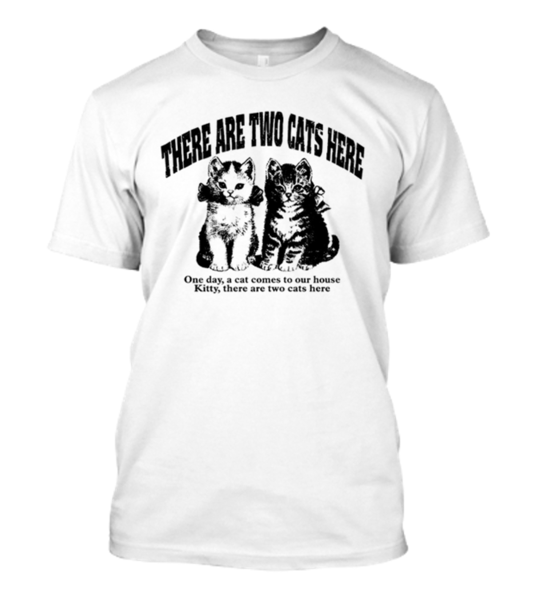 There Are Two Cats Here One Day Kitty Comes To Our House T-Shirt