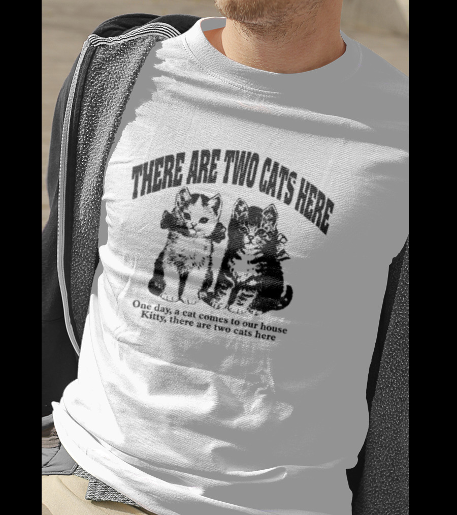 There Are Two Cats Here One Day Kitty Comes To Our House T-Shirt