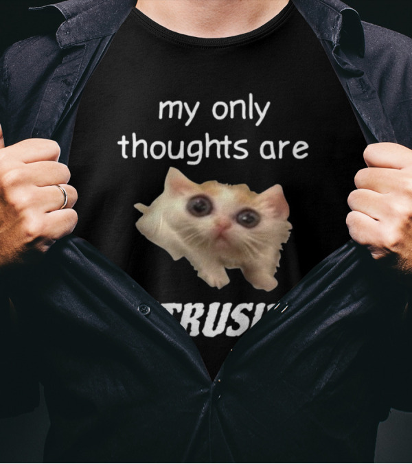 My Only Thoughts Are Intrusive Cat Meme T-Shirt